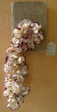 Arithmetic and Roses by Shannon Amidon