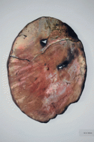 Portrait In Neodymium byAndrew Irvine