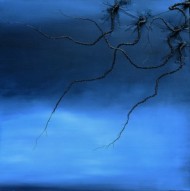 My Storm by Karen Carlo Salinger