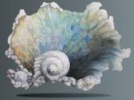 Sea Shell by Sandi Billingsley