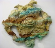 Petrified Coral #2 by Sandi Billingsley
