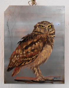 Burrowing Owl by Jeff Hemming