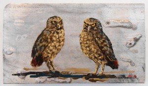 Burrowing Owls by Jeff Hemming