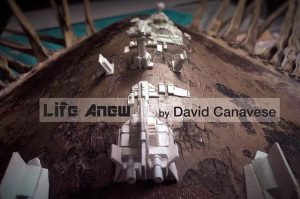 Life Anew by David Canavese