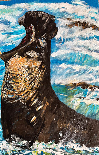Portraits from the Wild by Jeffrey Bramschreiber September 2025