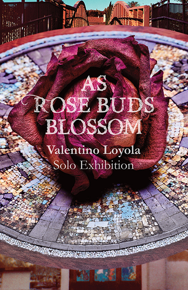 As Rose Buds Blossom _ Valentino Loyola Solo Exhibit November 2025